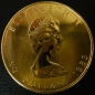 Maple Leaf 1 Unze Gold verschiedene Jahrgänge