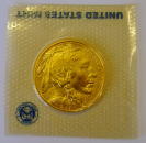 American Buffalo 1 Unze Gold 2013