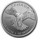 Kanada Birds of Prey, Peregrine Falcon, 1 Unze Silber 2014
