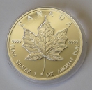 Maple Leaf 1 Unze Silber 1989 PP