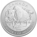 Kanada Bison 1 Unze Silber 2013