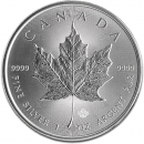 Maple Leaf 1 Unze Silber versch.Jahrgänge